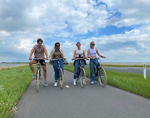 Gouwzee E-bike Arrangement
