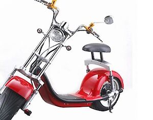 E Chopper Puzzeltocht Volendam & omgeving